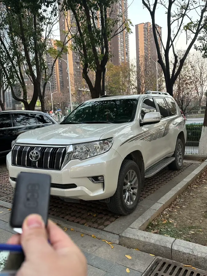 2019 Toyota Land Cruiser Prado 3.5L 280HP V6 6AT