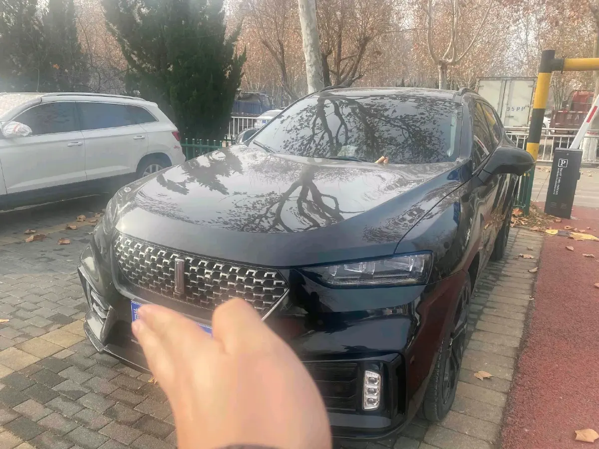 2020 WEY VV7 2.0T 227HP L4 7DCT