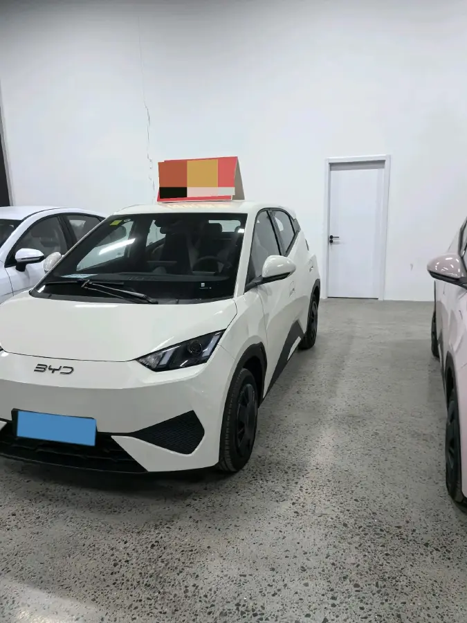 2025 BYD Seagull BEV 30.08KWH