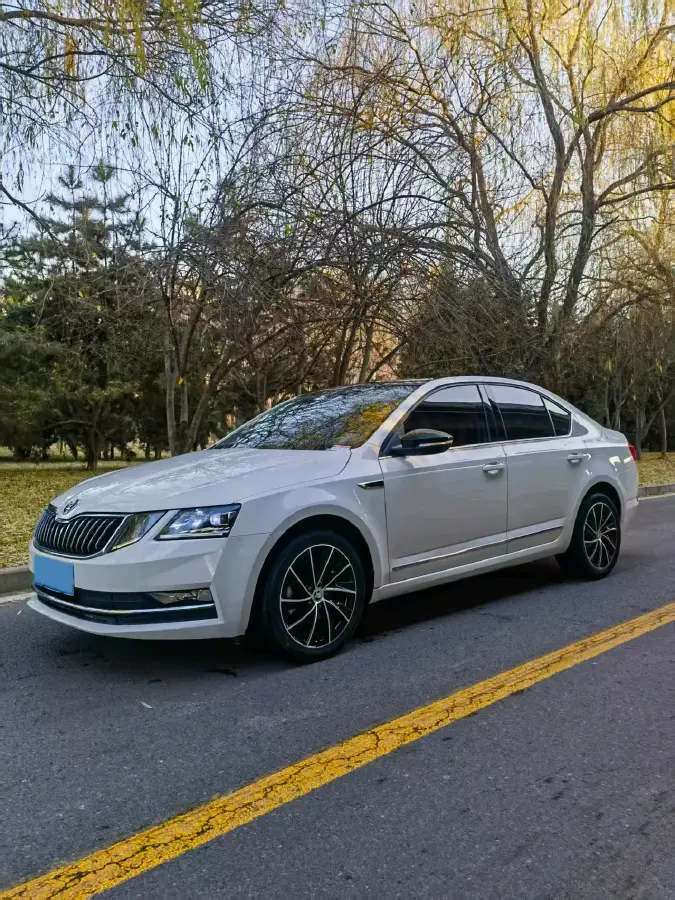 2020 Skoda Octavia 1.4T 150HP L4 7DCT