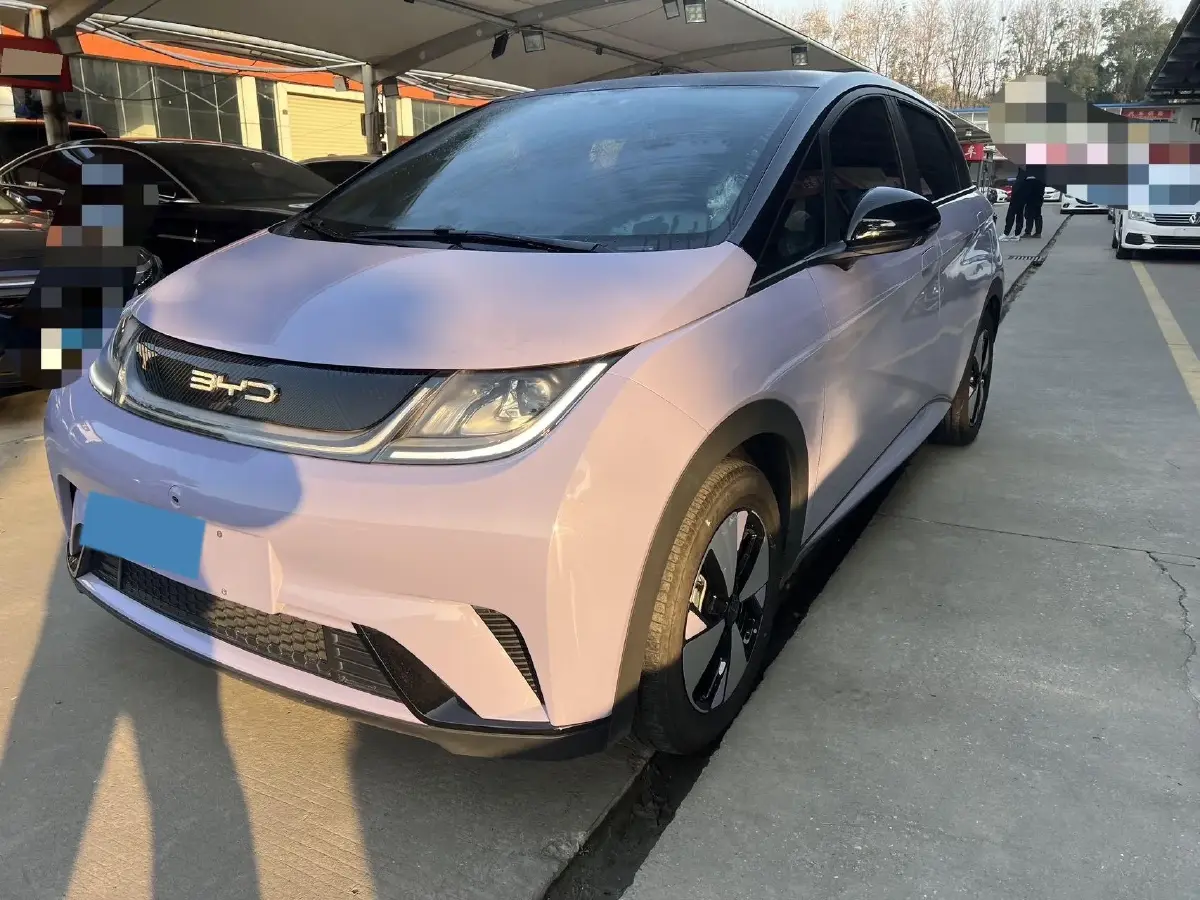 2023 BYD Dolphin BEV 44.928KWH