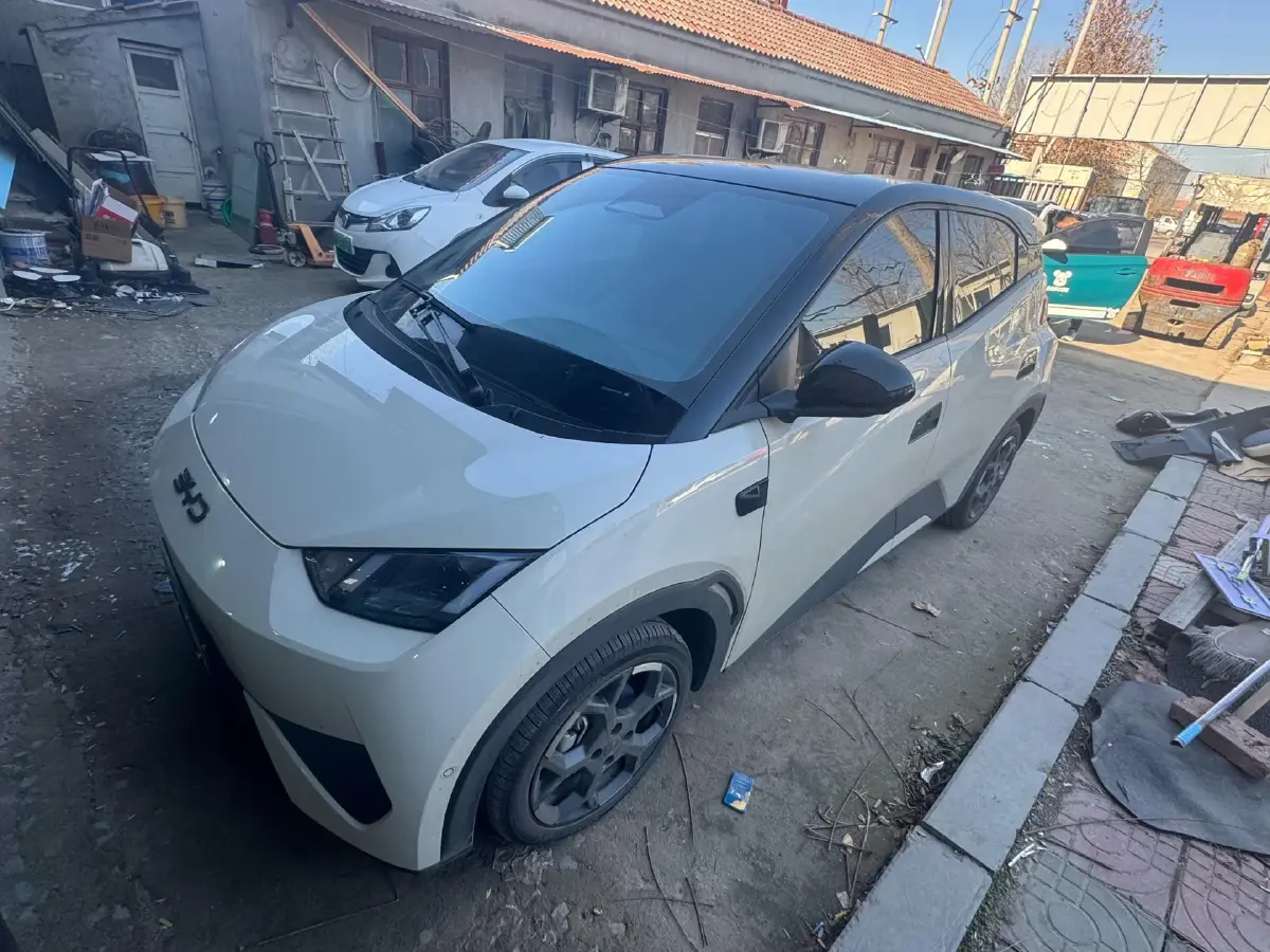 2025 BYD Seagull BEV 30.08KWH