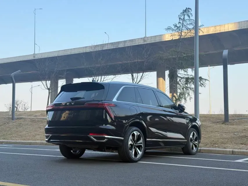 2025 WEY BlueMountain 1.5T 170HP L4 4DHT PHEV 44.5KWH,autocango,china used car exporter,china ev exporter,chinese used car exporter,chinese used ev exporter