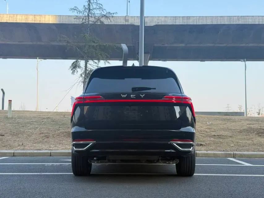 2025 WEY BlueMountain 1.5T 170HP L4 4DHT PHEV 44.5KWH,autocango,china used car exporter,china ev exporter,chinese used car exporter,chinese used ev exporter