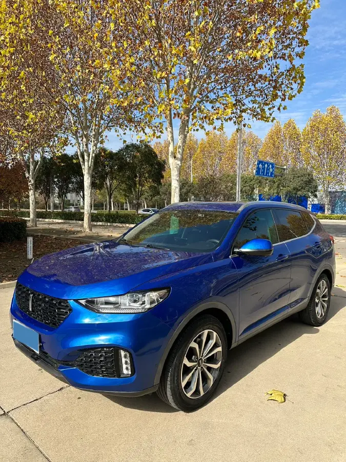 2018 WEY VV6 2.0T 197HP L4 7DCT