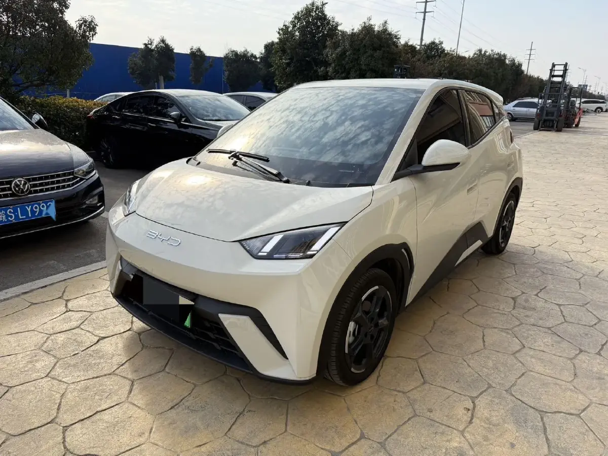 2024 BYD Seagull BEV 30.08KWH