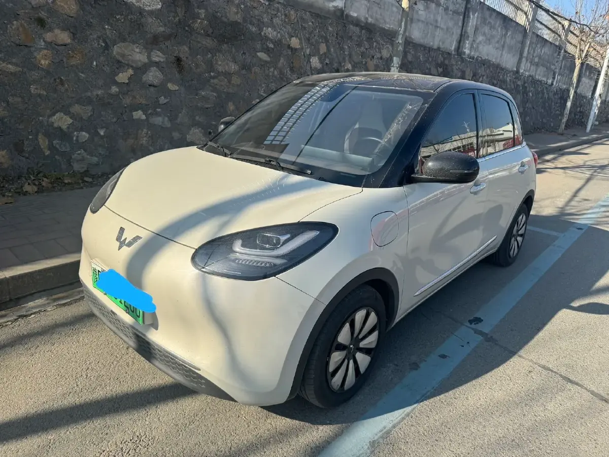 2023 WuLing BinGuo BEV 37.9KWH