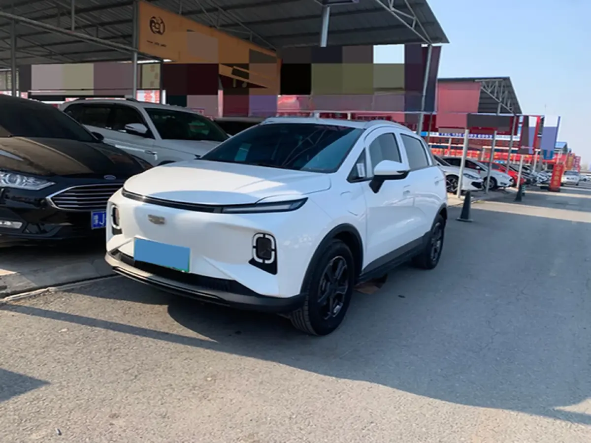 2024 Geometry E BEV 29.67KWH