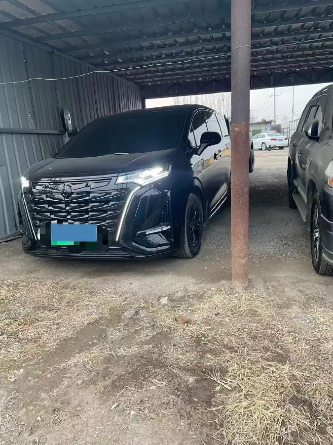 2024 Denza D9 1.5T 139HP L4 E-CVT PHEV 40KWH