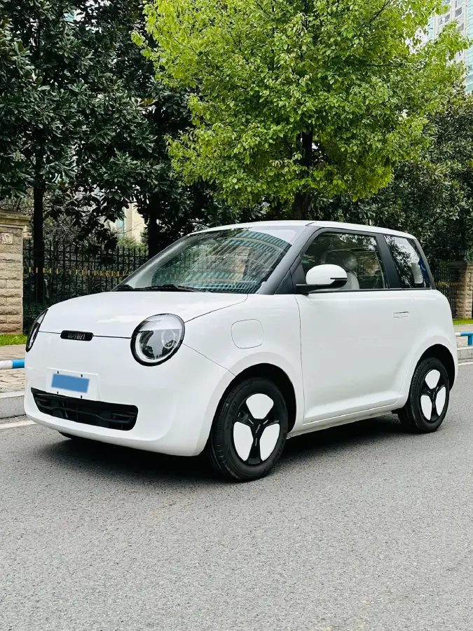 2024 ChangAn QiYuan Lumin BEV 13.41KWH