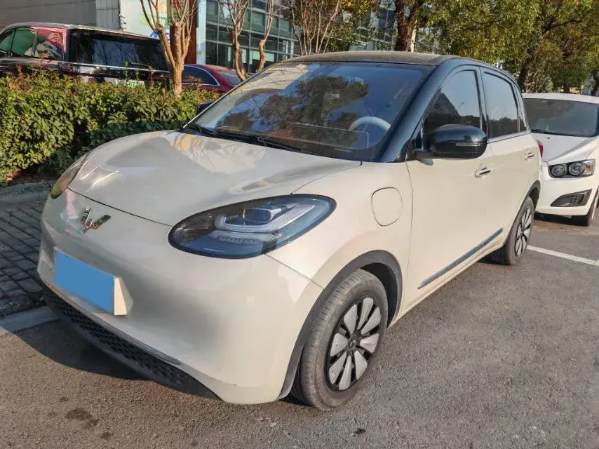 2023 WuLing BinGuo BEV 31.9KWH