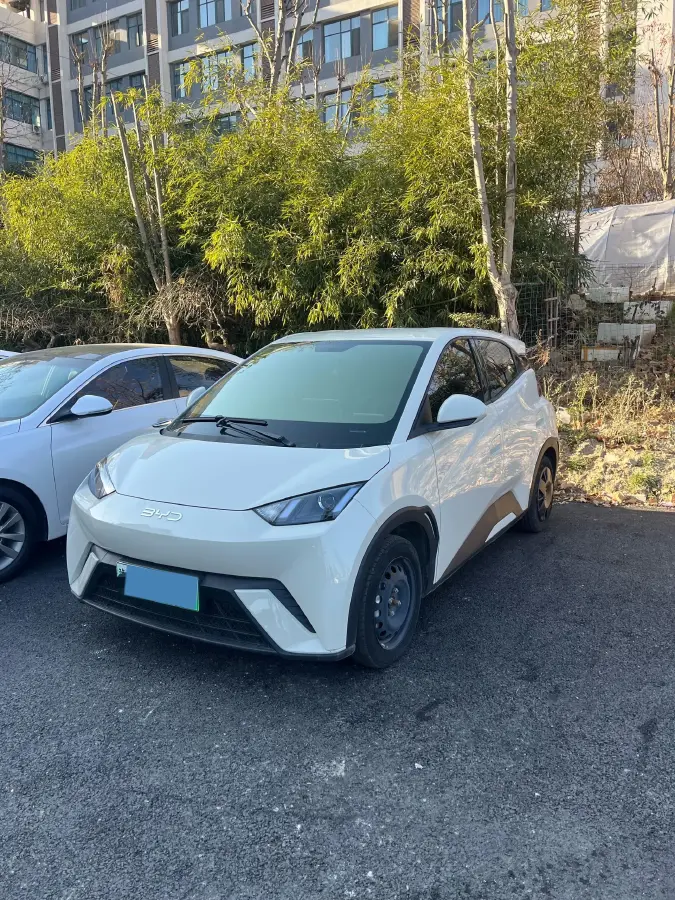 2024 BYD Seagull BEV 30.08KWH