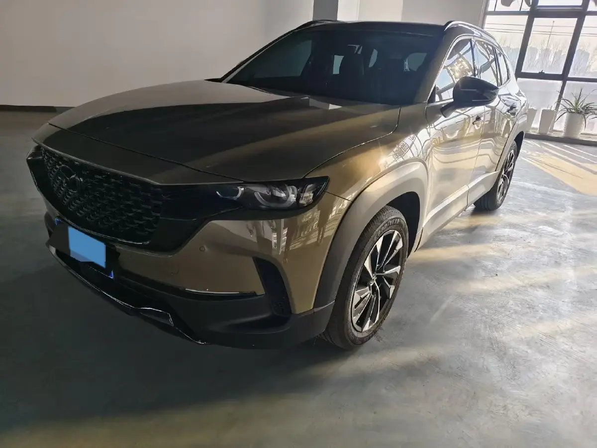 2023 JMC E LuShun BEV 53.58KWH