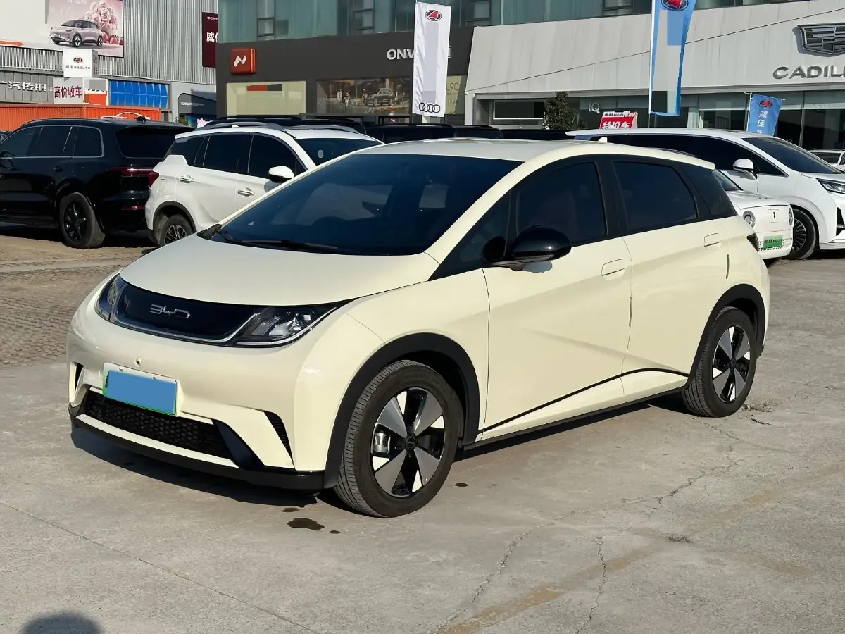 2023 BYD Dolphin BEV 44.928KWH