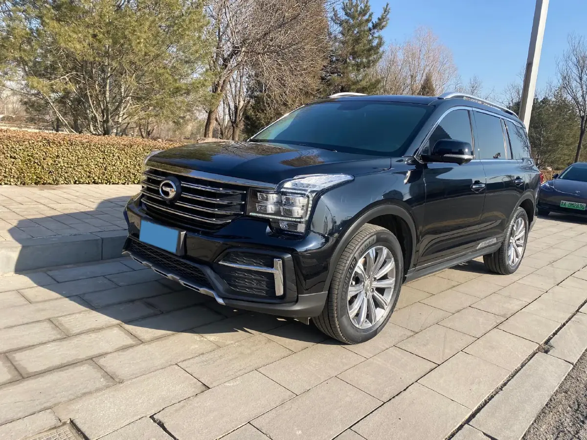 2020 GAC Trumpchi GS8 2.0T 252HP L4 6AT