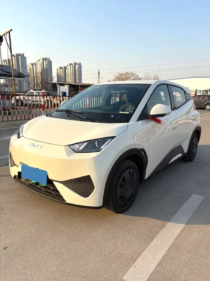 2025 BYD Seagull BEV 30.08KWH