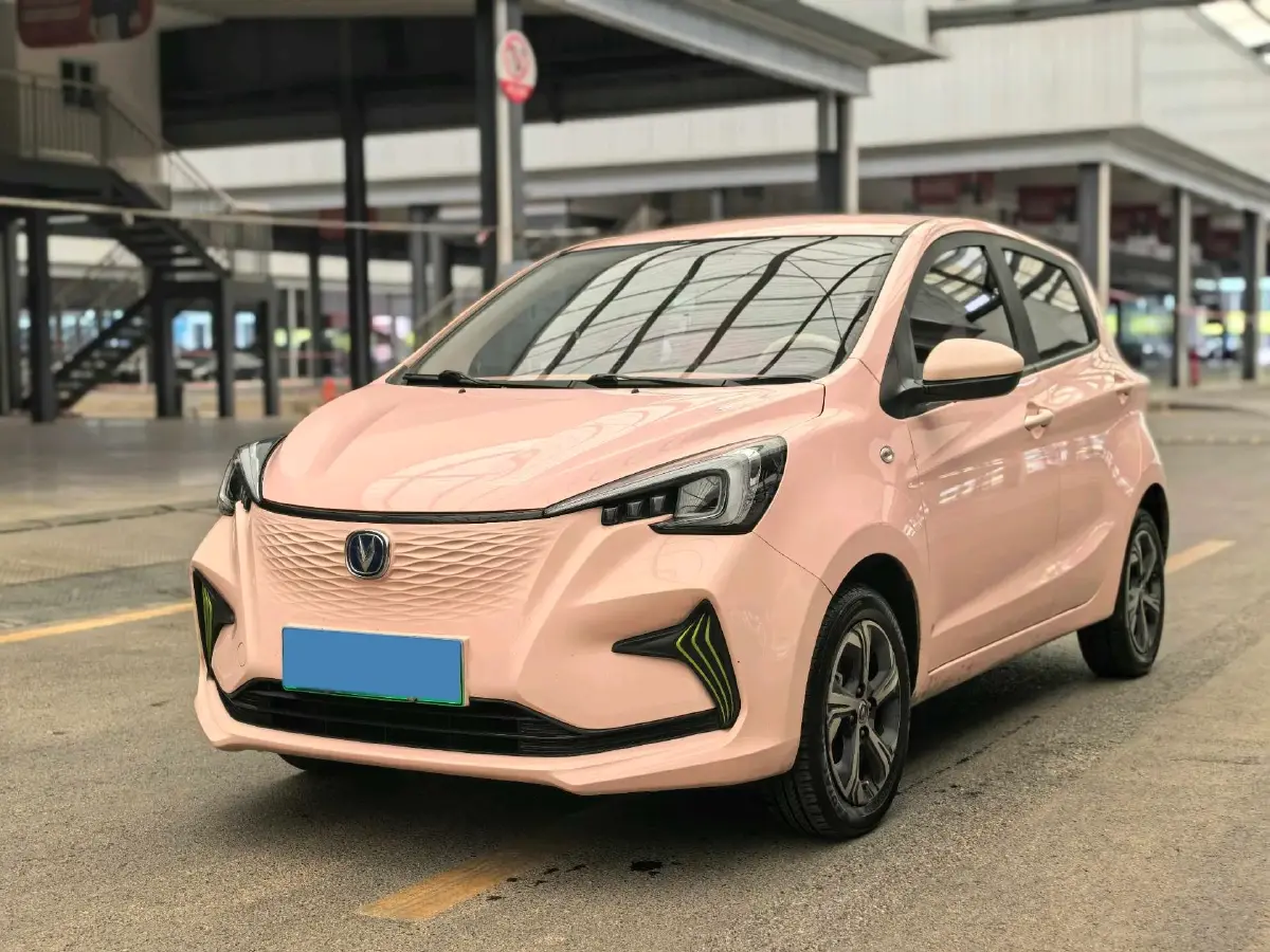 2022 ChangAn BenBen E-Star BEV 31.95KWH