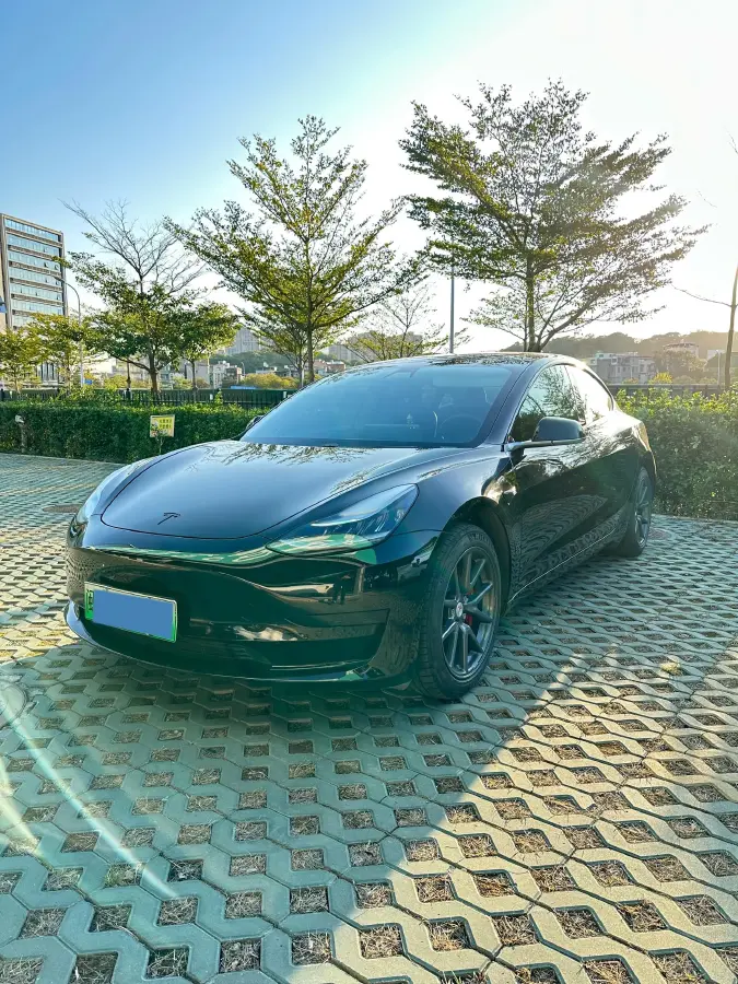 2020 Tesla Model 3 BEV 52KWH