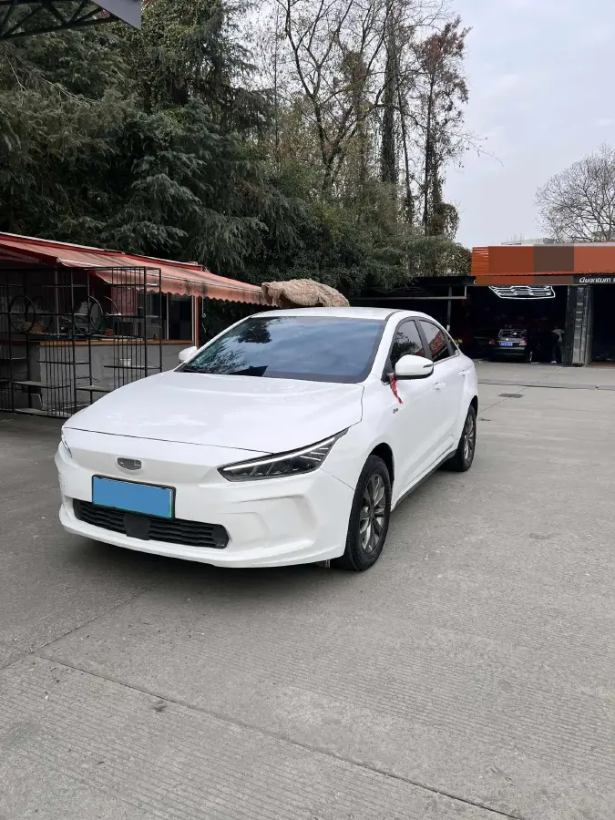 2022 BYD Yuan Plus BEV 49.92KWH