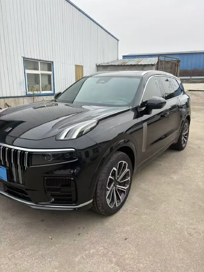 2024 LYNK&CO 09 2.0T 254HP L4 8AT