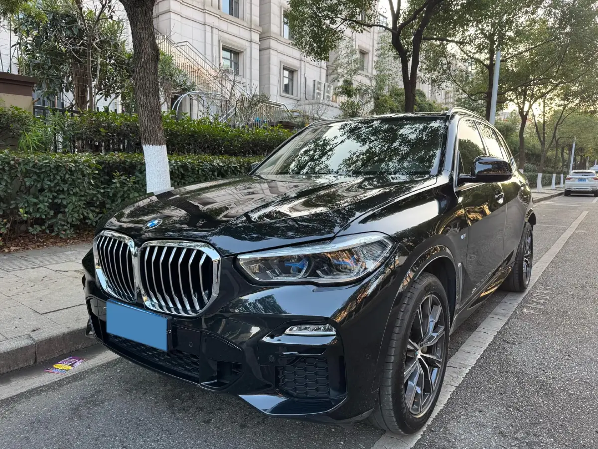 2019 BMW X5 3.0T 340HP L6 8AT