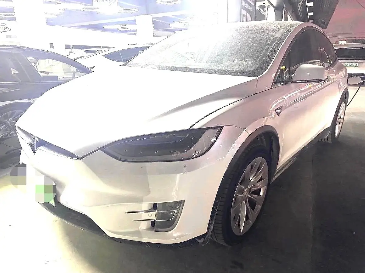 2019 Tesla Model X BEV 100KWH