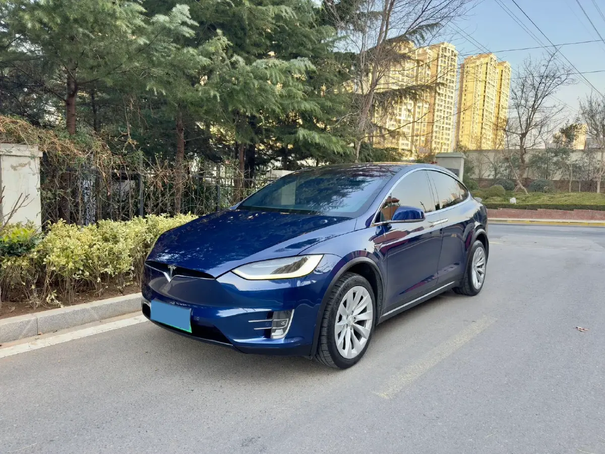 2017 Tesla Model X BEV 100KWH