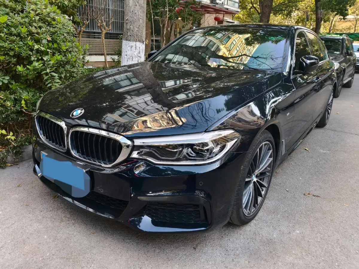 2020 BMW 5 Series 2.0T 252HP L4 8AT