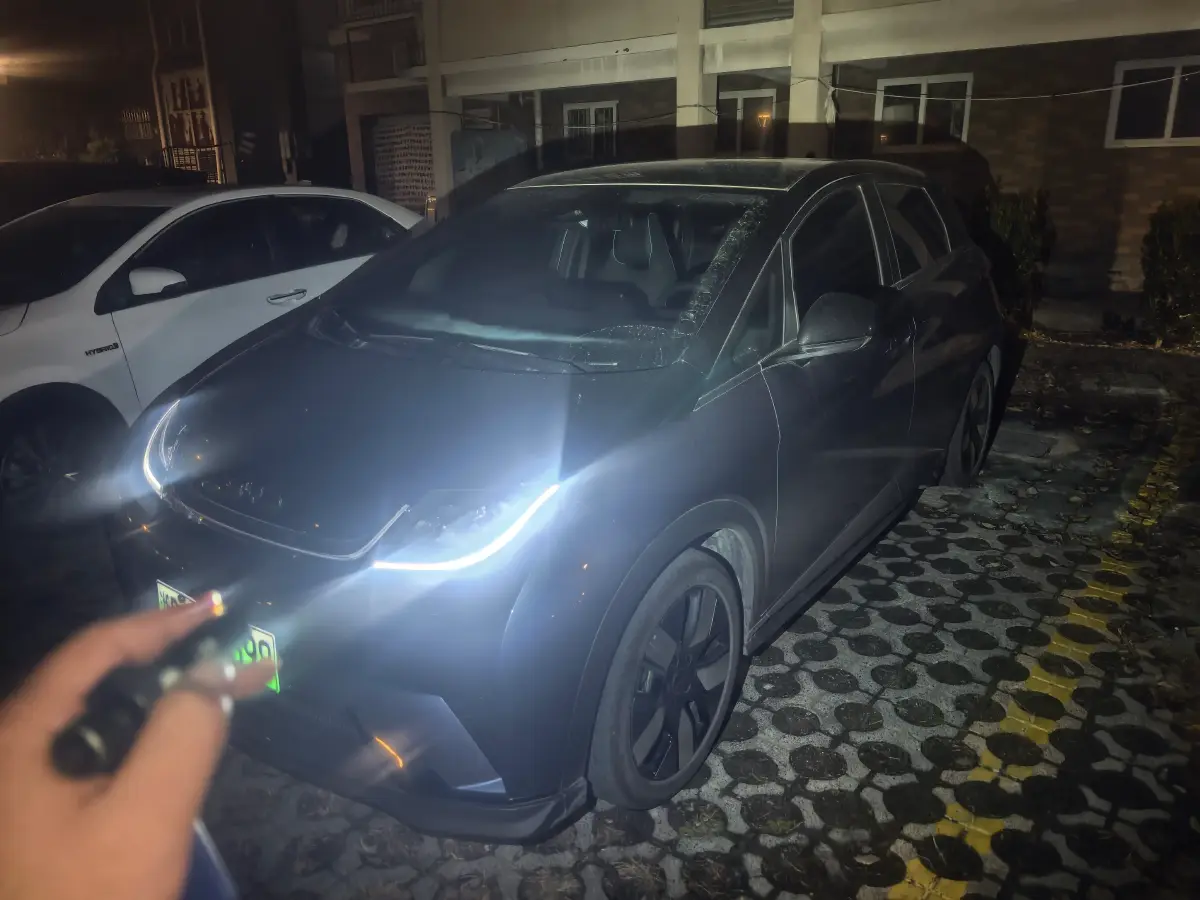 2025 BYD Dolphin BEV 60.48KWH