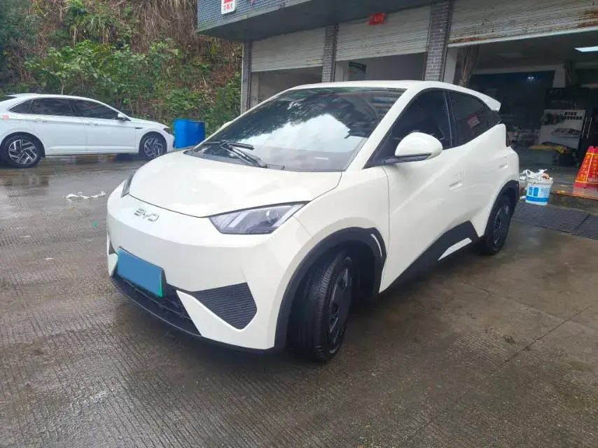 2025 BYD Seagull BEV 30.08KWH