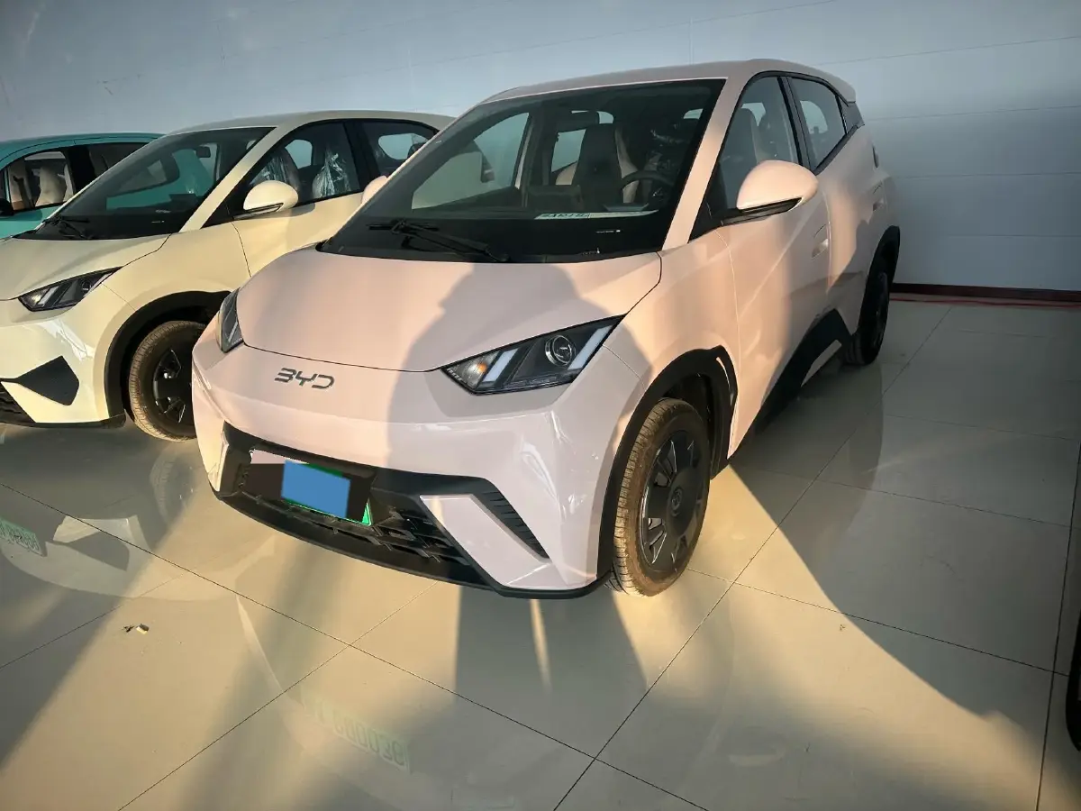 2025 BYD Seagull BEV 30.08KWH