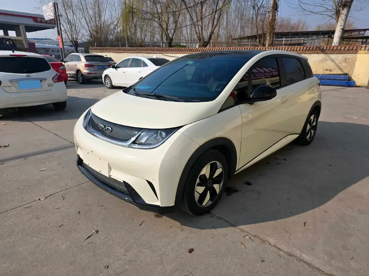 2024 BYD Dolphin BEV 44.928KWH