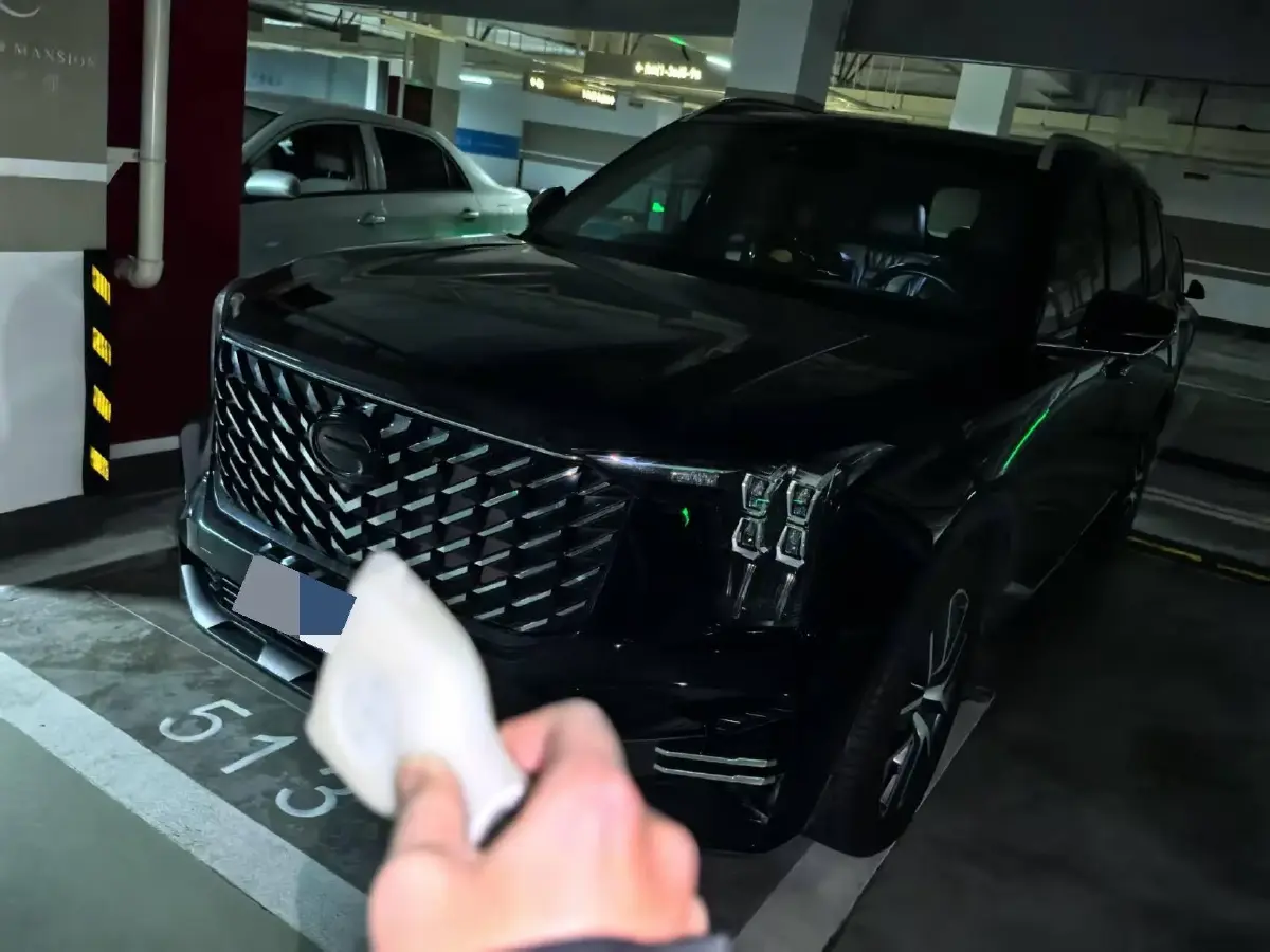 2022 GAC Trumpchi GS8 2.0T 252HP L4 8AT