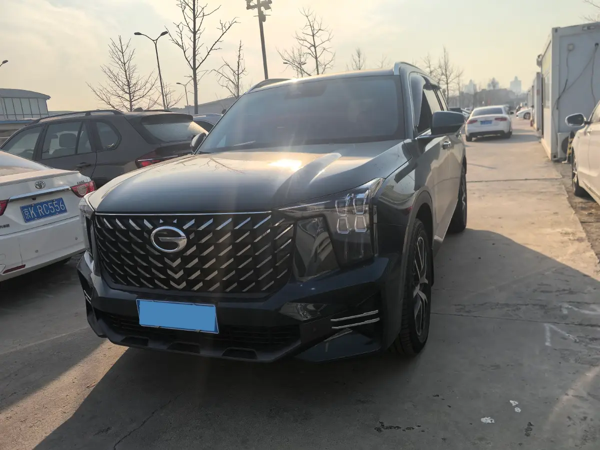2022 GAC Trumpchi GS8 2.0T 252HP L4 8AT