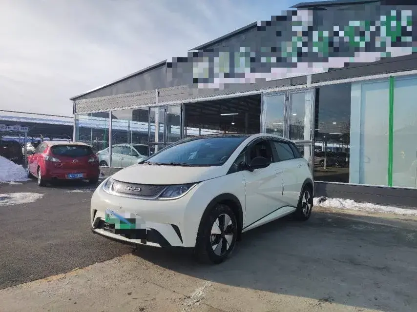 2023 BYD Dolphin BEV 44.928KWH