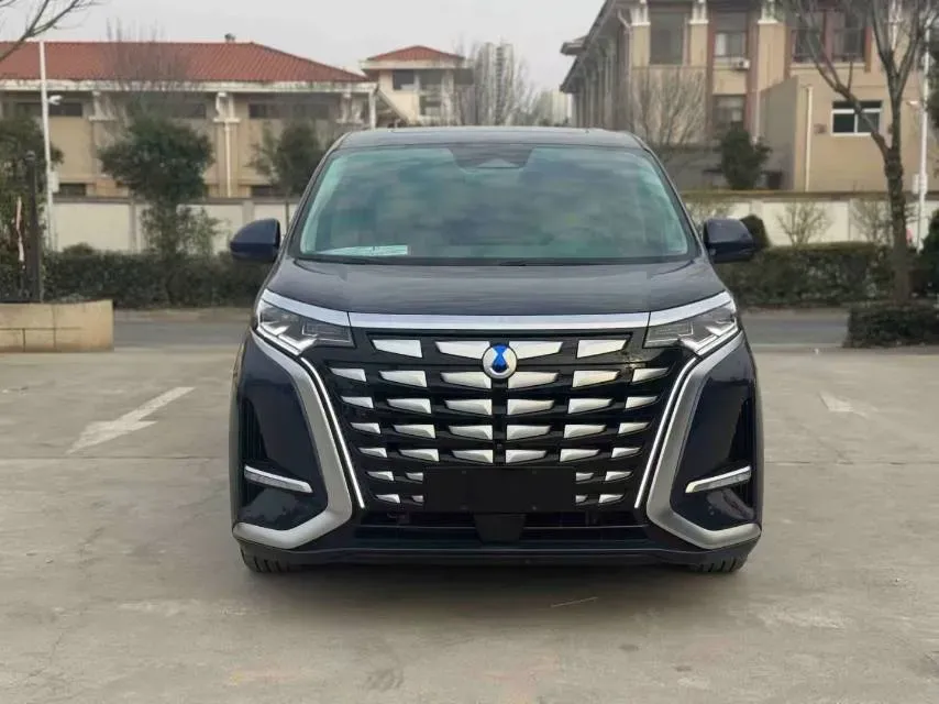2023 Denza N8 1.5T 139HP L4 E-CVT PHEV 45.8KWH,autocango,china used car exporter,china ev exporter,chinese used car exporter,chinese used ev exporter
