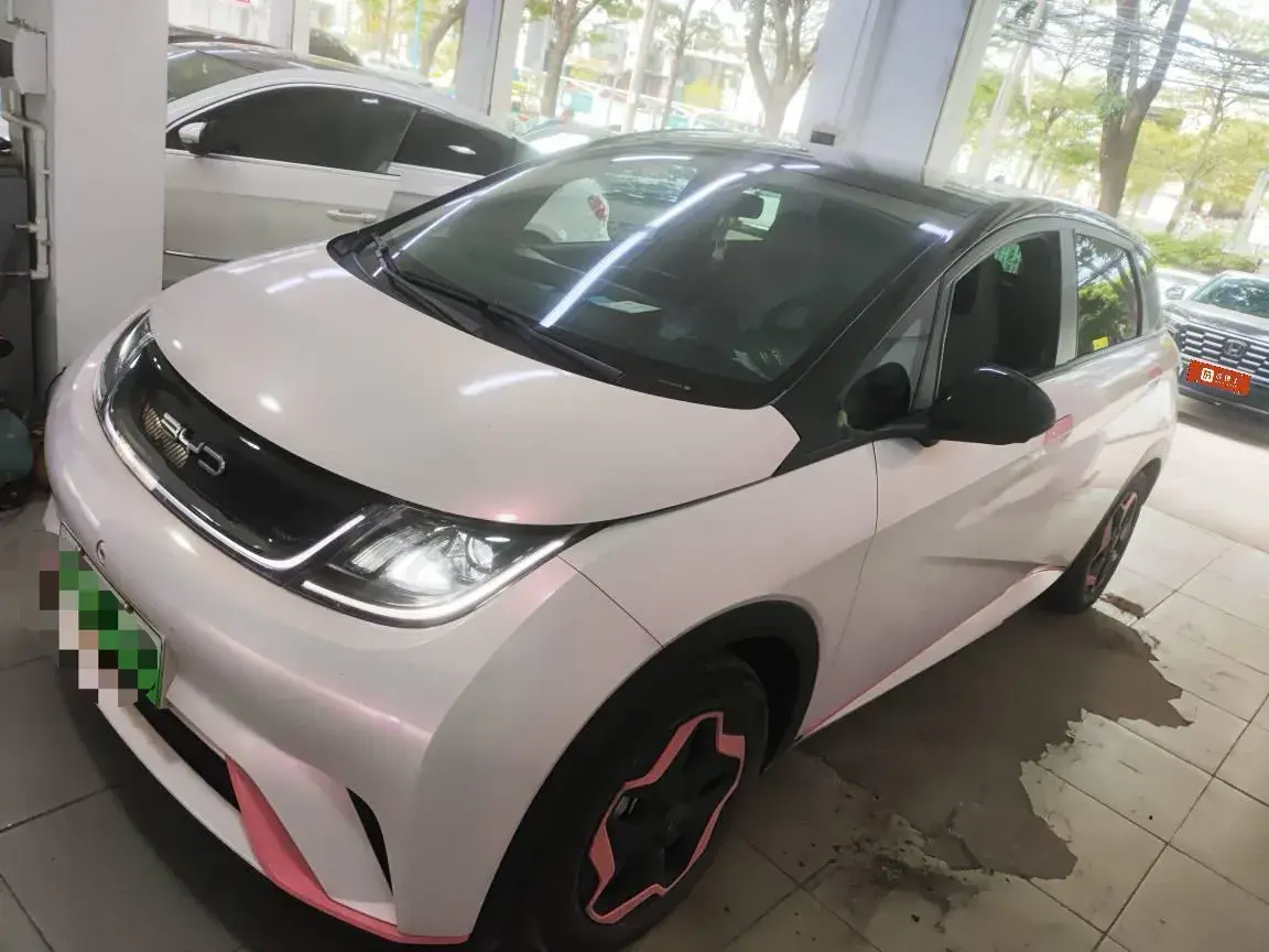 2021 BYD Yuan Pro BEV 50.1KWH