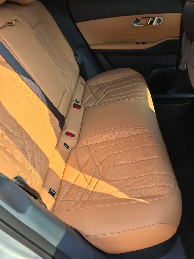 2025 Radar KingKong BEV 63KWH,autocango,china used car exporter,china ev exporter,chinese used car exporter,chinese used ev exporter