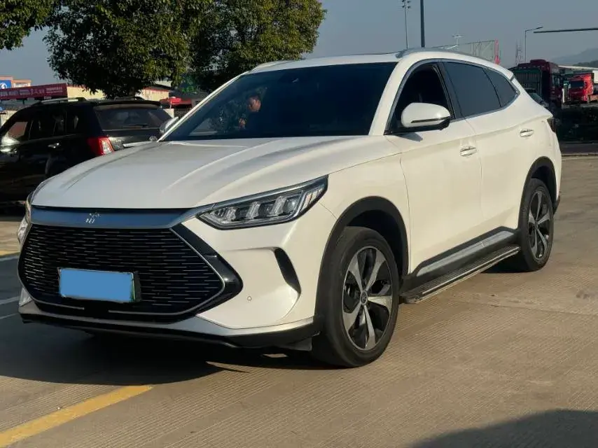 2021 SRM Sea Lion EV BEV 41.86KWH