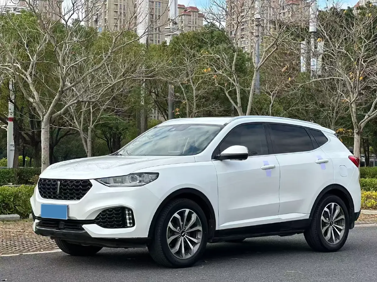 2018 WEY VV6 2.0T 197HP L4 7DCT