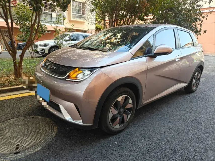2024 BYD Dolphin BEV 44.928KWH