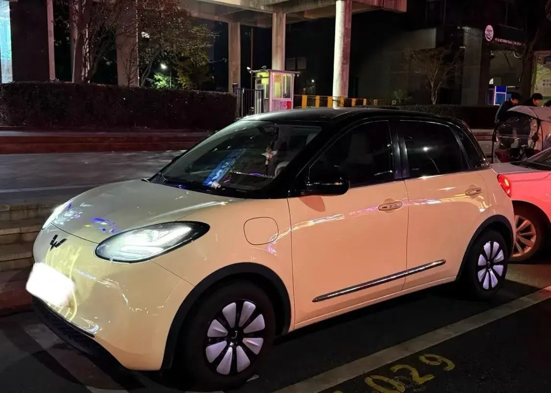 2025 WuLing BinGuo BEV