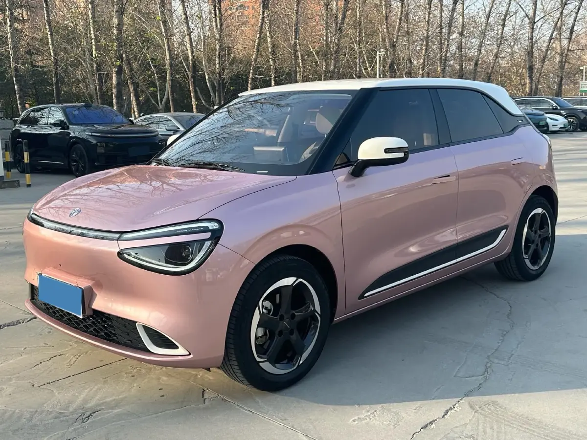 2024 DongFeng Nammi 01 BEV 42.3KWH