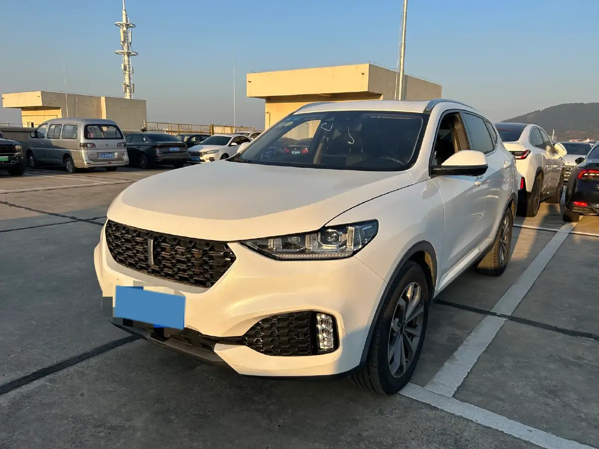 2018 WEY VV6 2.0T 197HP L4 7DCT