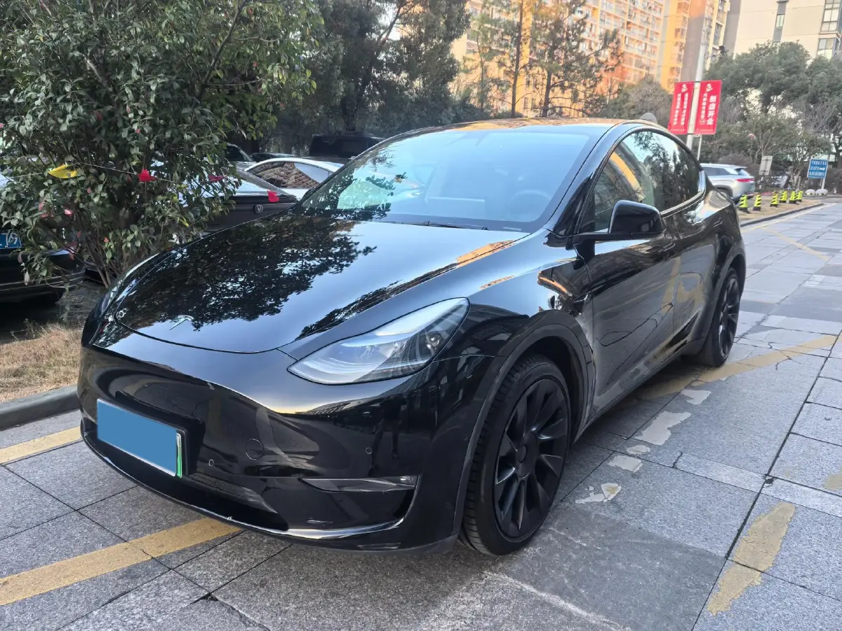 2021 Tesla Model Y BEV 76.8KWH