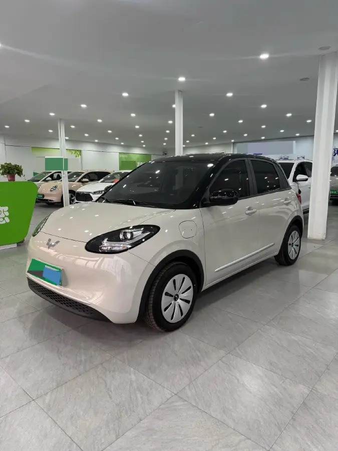 2025 WuLing BinGuo BEV