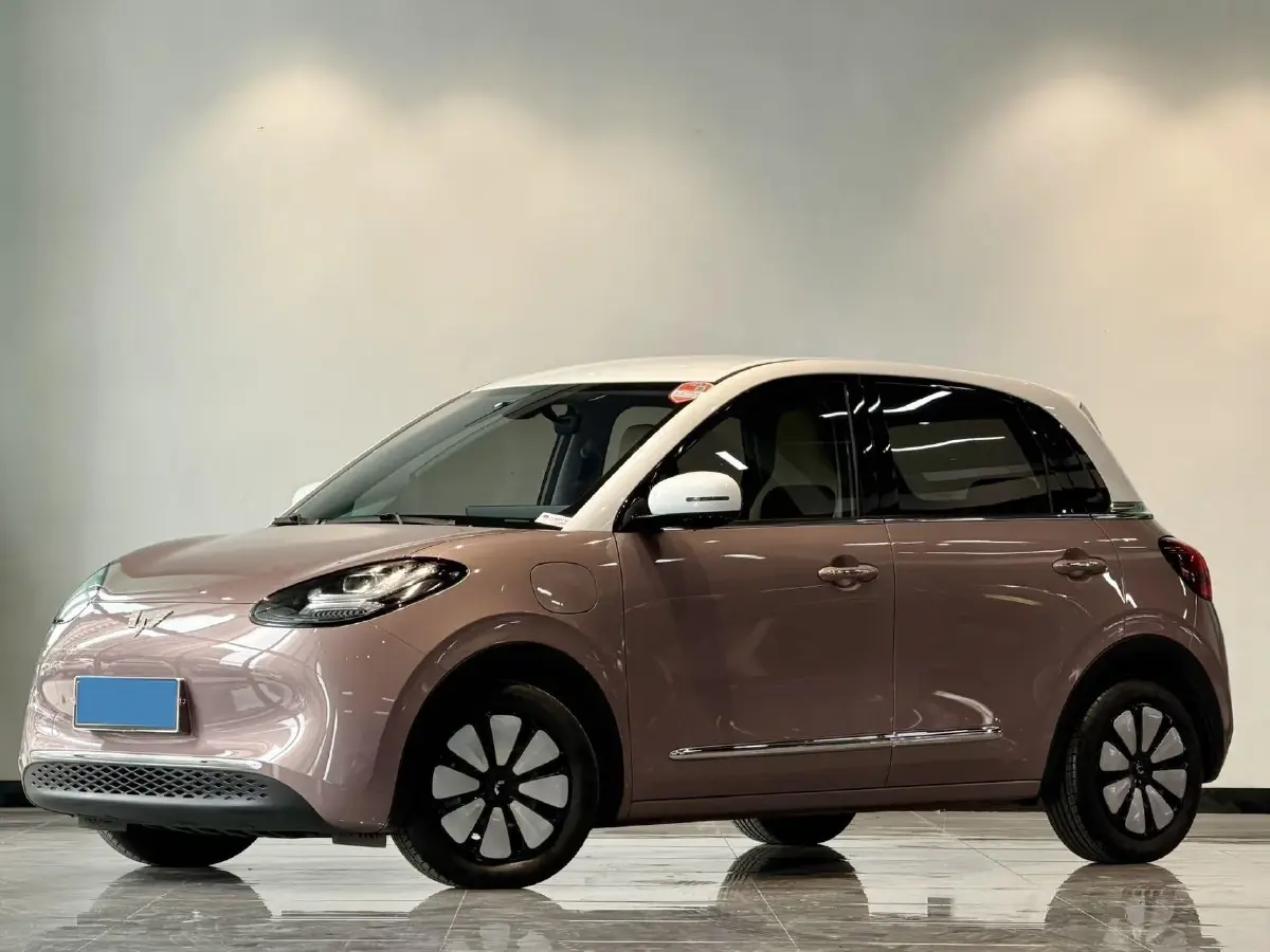 2023 WuLing BinGuo BEV 31.9KWH