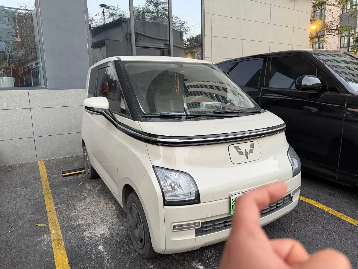 2023 EV House YOUNG BEV 32.56KWH,autocango,china used car exporter,china ev exporter,chinese used car exporter,chinese used ev exporter
