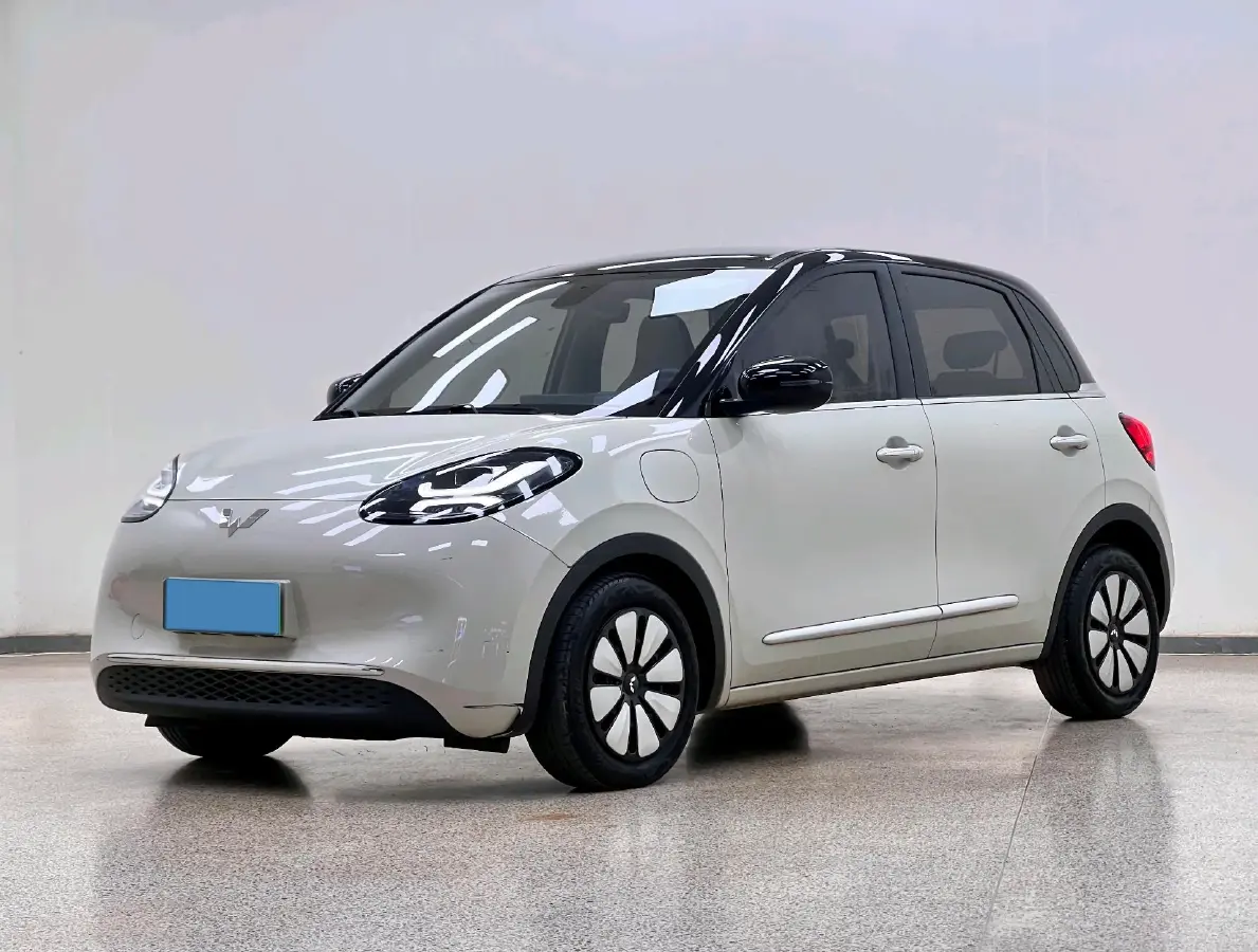 2025 WuLing BinGuo BEV