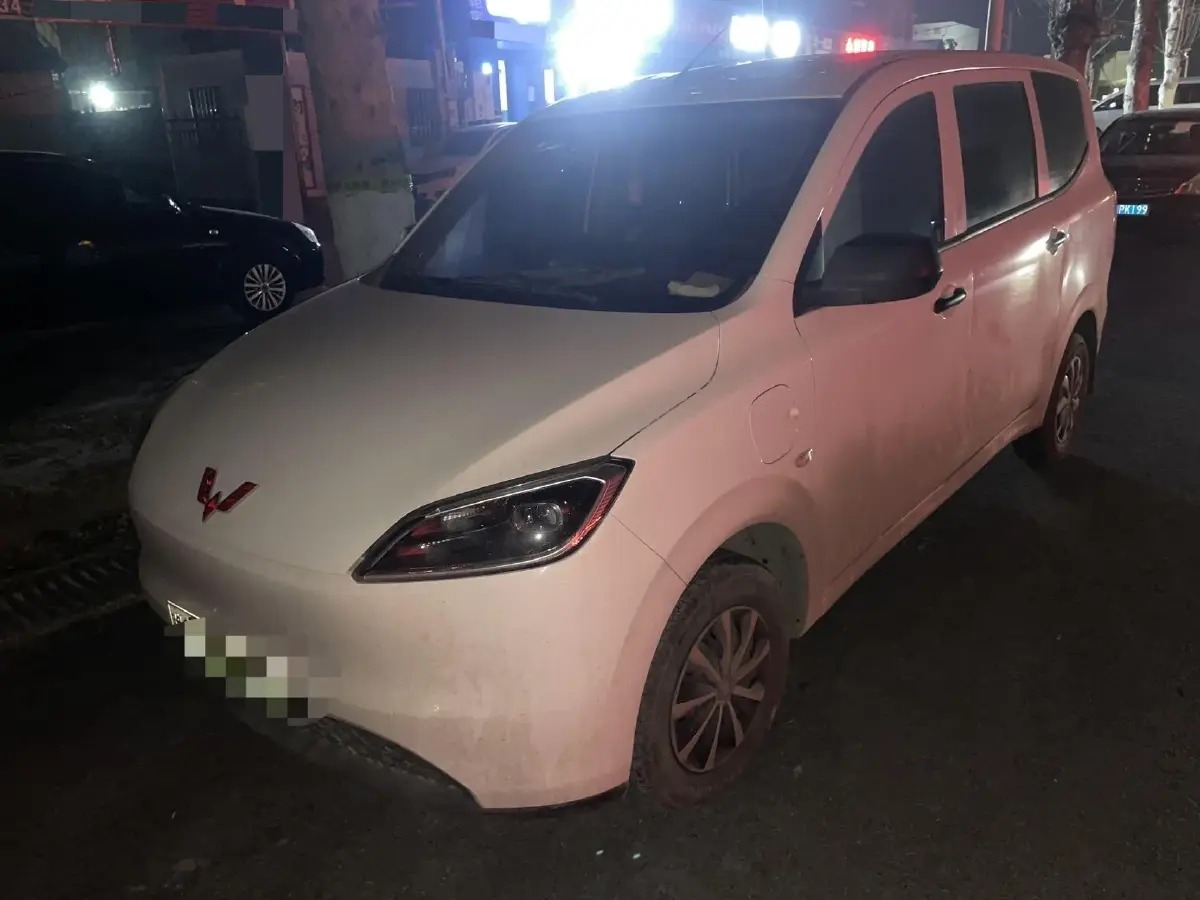 2024 WuLing HongGuang New Energy BEV 32.6KWH